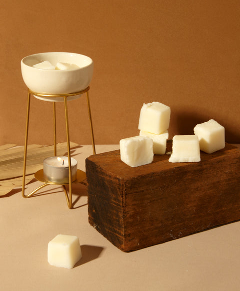 Your Quick Guide to Using Wax Melts for the First Time